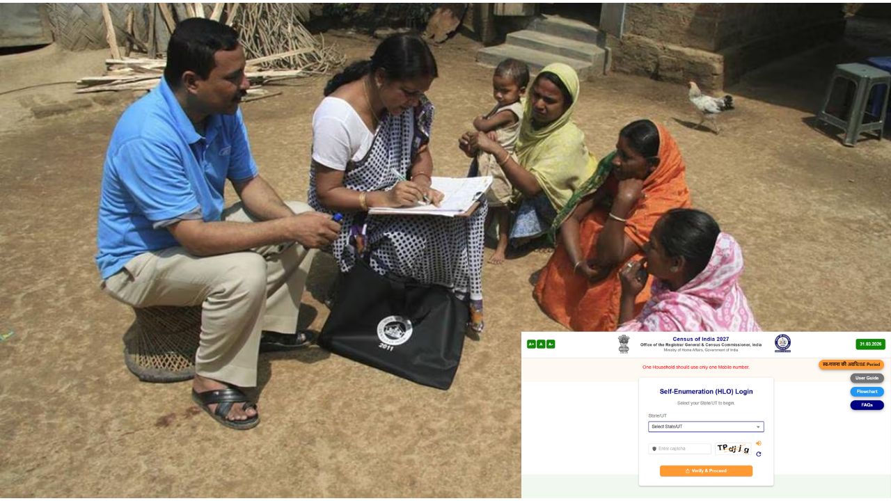 Census: How to submit Self-Enumeration information online