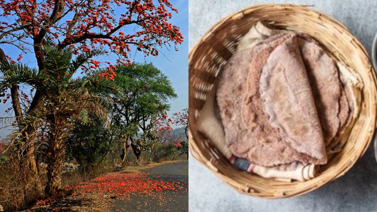 Ayurveda Health Tips: Lifestyle according to the seasons, Best Foods to Eat During Spring Vasanta Ritu