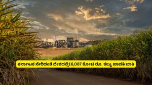 ಕರ್ನಾಟಕ ಸೇರಿದಂತೆ ದೇಶದಲ್ಲಿ 16,087 ಕೋಟಿ ರೂ. ಕಬ್ಬು ಪಾವತಿ ಬಾಕಿ